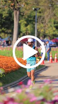 BIB:  <button type="button" onclick="openModal(27588614)" class="btn btn-primary btn-sm float-right" data-toggle="modal" data-target=".modal-high-quality">
                <i class="fa fa-download"></i> Download
                </button>